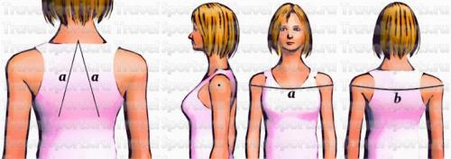 Упражнения для осанки