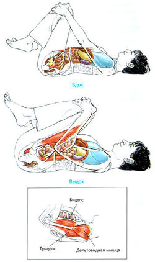 Апанасана — Поза апаны