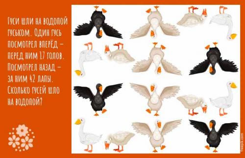 Сложная загадка с подвохом для мужчин. Самое лучшее в загадке — это отгадка. Смешные загадки с подвохом для взрослых