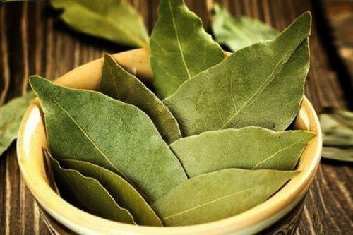 Заговор на лавровый лист в кошельке гадалка. Для привлечения финансов