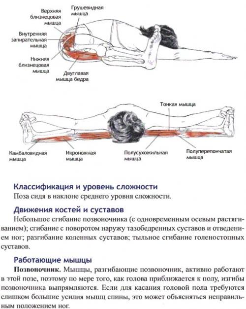 Упавишта конасана. Упавиштха конасана