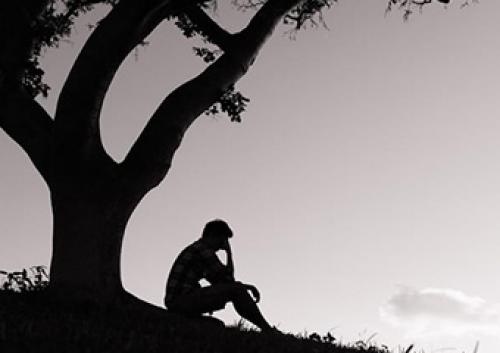 Обучение гипнозу онлайн. Все курсы