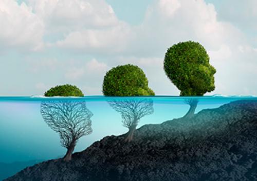 Обучение гипнозу онлайн. Все курсы