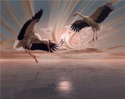 Безусловная Любовь цитата. 