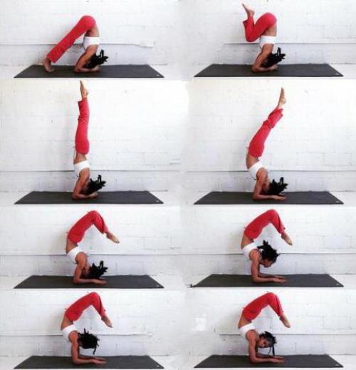 Поза скорпиона в йоге (фото). Как сделать позу скорпиона?