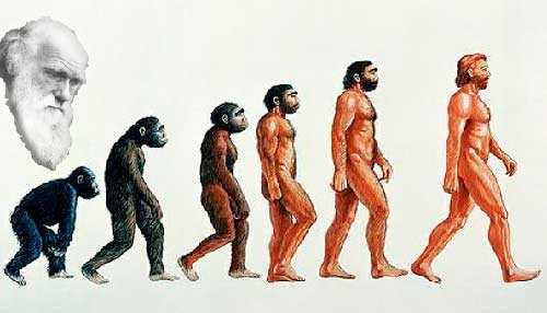 Внеземное происхождение человека доклад. Родословная человека: внеземное происхождение человека.