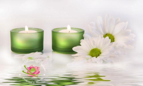 Ветров аюрведа искусство жизни. Аюрведа как искусство жизни