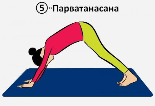 Утренняя гимнастика сурья намаскар. Сурья Намаскар