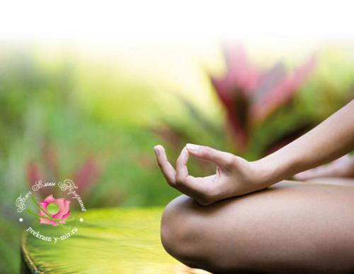 Ветров аюрведа искусство жизни. Аюрведа как искусство жизни