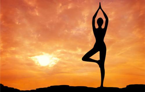 Аюрведа искусство жизни ветров. Что такое Аюрведа