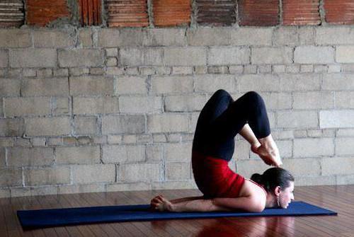 Поза скорпиона в йоге (фото). Как сделать позу скорпиона?