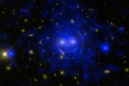 Феномен чеширского кота. Чеширский кот и теория относительности Эйнштейна