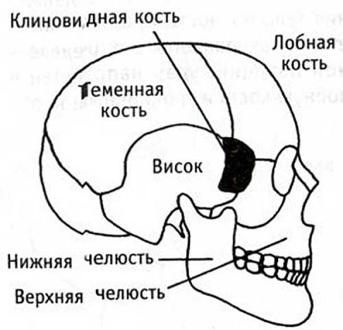 Болевые точки на ногах. Нахождение болевых точек