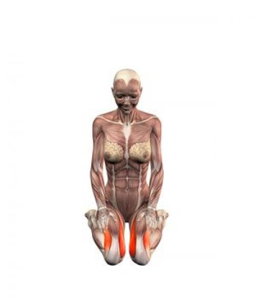 Вирасана перевод. 