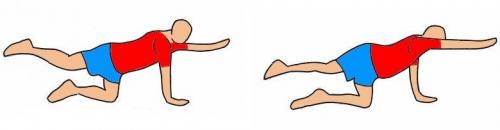 7 эффективных упражнений. Упражнения для всего тела