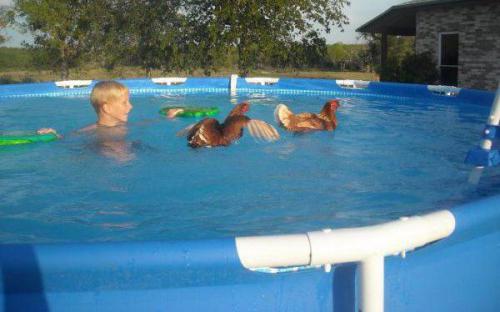 Кто боится воды. Проверенные способы избавления от страха (боязни) воды 03