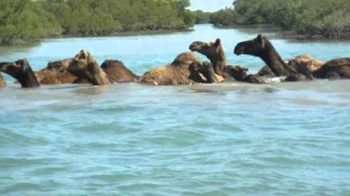 Кто боится воды. Проверенные способы избавления от страха (боязни) воды 06