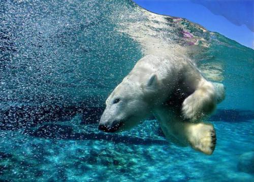 Боязнь воды фото