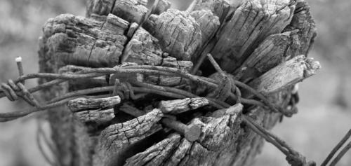 Шовинизм, что это такое. Что такое Шовинизм