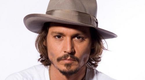 Фобия пауков. Арахнофобия: как перестать бояться пауков?