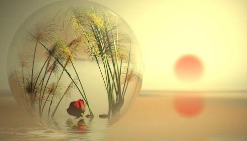 Близко воспринимаю все к сердцу. 10 советов, которые помогут вам проще смотреть на жизнь, не принимая все близко к сердцу 03