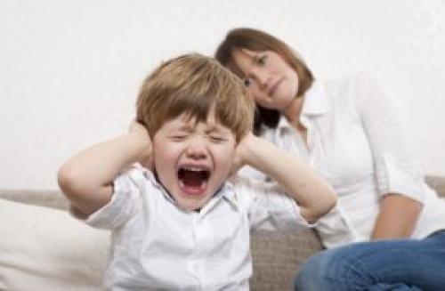Ребенок капризничает 2 года. Почему ребенок в 2 года психует и дерется?