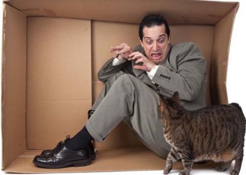 Фобия. Фобии —, что это в психологии и как от них избавиться?