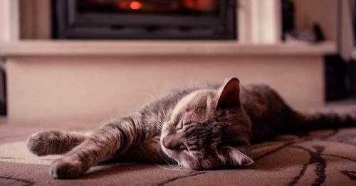 Как перестать бояться темноты взрослым и детям: советы психолога