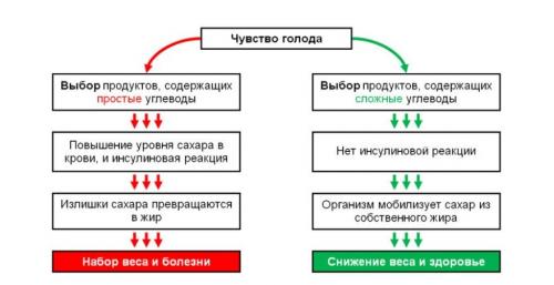Как навсегда отказаться от сладкого и мучного психология. Сложные и простые углеводы