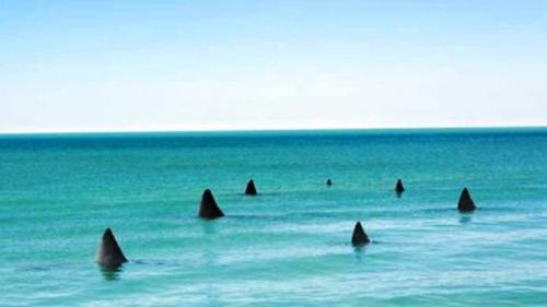 Боязнь открытых дверей. Особенности нарушения 10 Боязнь открытых дверей. Особенности нарушения 10