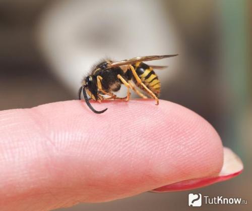 Фобия боязнь любить, как называется. Гаптофобия 01