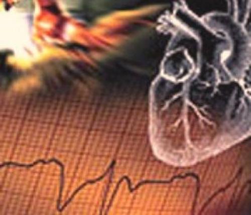 Может ли остановиться сердце от испуга. Сердечные страдания, или мифы о сердце