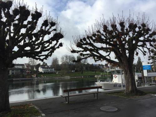 Как успокоиться после смерти мужа. Как справиться с потерей близкого человека самостоятельно 10 Как успокоиться после смерти мужа. Как справиться с потерей близкого человека самостоятельно 10