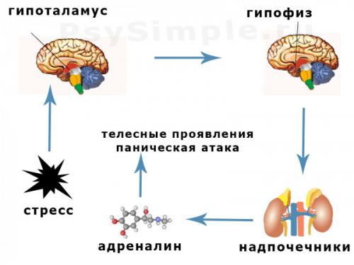 Схема дыхания как выйти из панической атаки