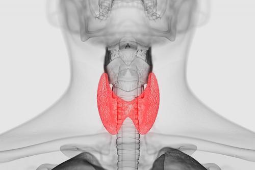 Воспаление щитовидной железы. Какие бывают заболевания щитовидной железы