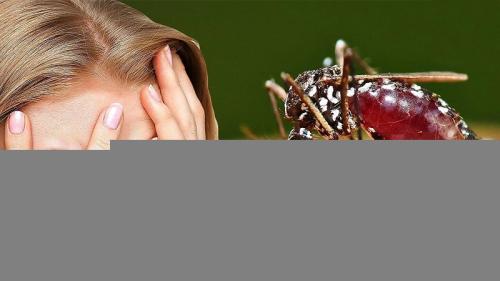 Как называется боязнь насекомых и методы лечения фобии