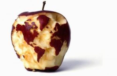 Активные игры для подростков. Игры и конкурсы для компании подростков — веселая коллекция