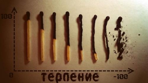 Как загипнотизировать ребенка. Гипноз животных 01