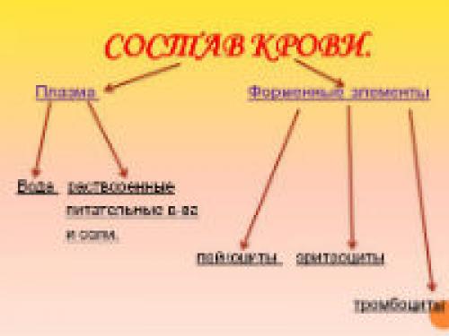 Выброс адреналина в спокойном состоянии. Процесс выброса адреналина в кровь и его причины