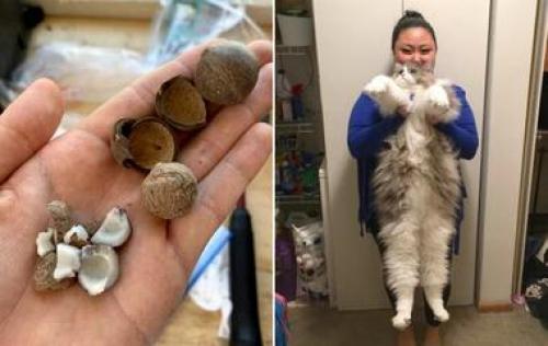 Самые необычные психические расстройства. Редчайшие синдромы и психические расстройства, о которых вы не слышали