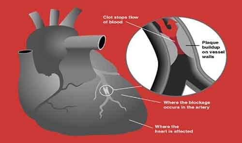 Биологические различия между мужчиной и женщиной. Биологические отличия между мужчинами и женщинами, о которых мало кому известно