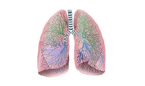 Биологические различия между мужчиной и женщиной. Биологические отличия между мужчинами и женщинами, о которых мало кому известно