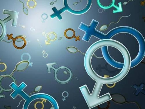 Гендер это простыми словами. Что такое гендерный признак
