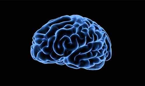 Биологические различия между мужчиной и женщиной. Биологические отличия между мужчинами и женщинами, о которых мало кому известно