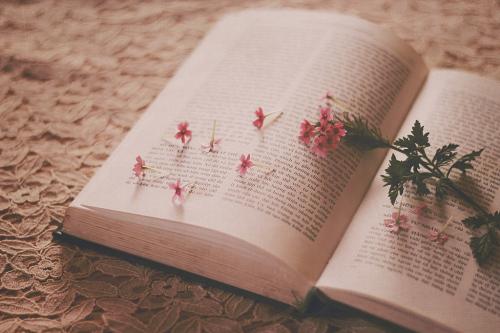 Минусы чтения книг. Польза чтения. 5 причин почему стоит начать читать книги