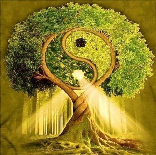 Женское и мужское начало. Инь и Ян — женское и мужское начало 04