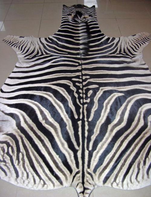 Тест Роршаха чикатило. Психологический тест Роршаха (7 фото + текст)