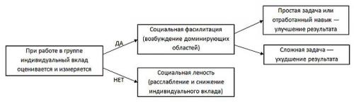 Социальная фасилитация в психологии это. История открытия 01