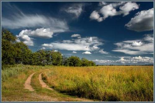Психология восприятия формы и цвета. 1 Психология цвета в рекламе 01 Психология восприятия формы и цвета. 1 Психология цвета в рекламе 01