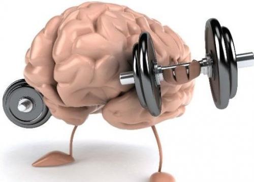Быстрое запоминание цифр тренировка памяти. 8 упражнений для повседневной тренировки памяти и внимания